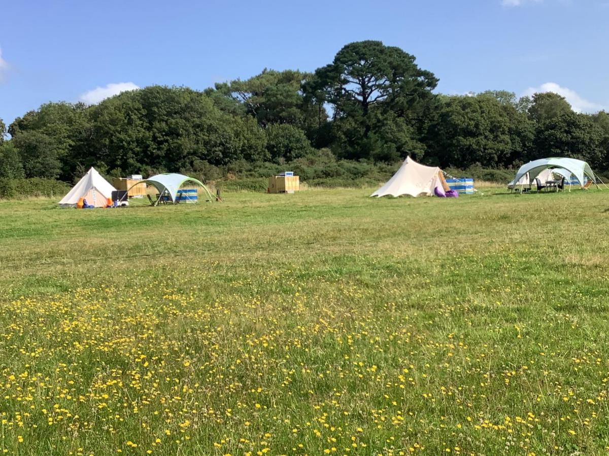 West Holme Glamping 호텔 웨어햄 외부 사진